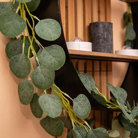 Апартаменты Tadeusza Kosciuszki 6 Вроцлав