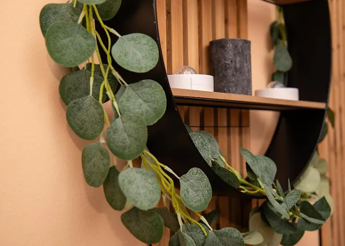 Апартаменты Tadeusza Kosciuszki 6 Вроцлав